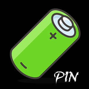 Pin